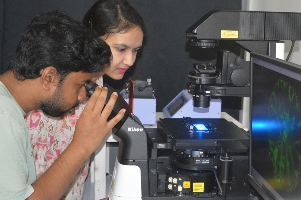 MSR program banner - physics research