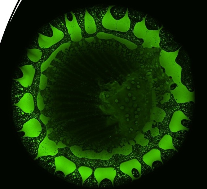 Bio.Microfluidics — Dr. Dileep Mampallil