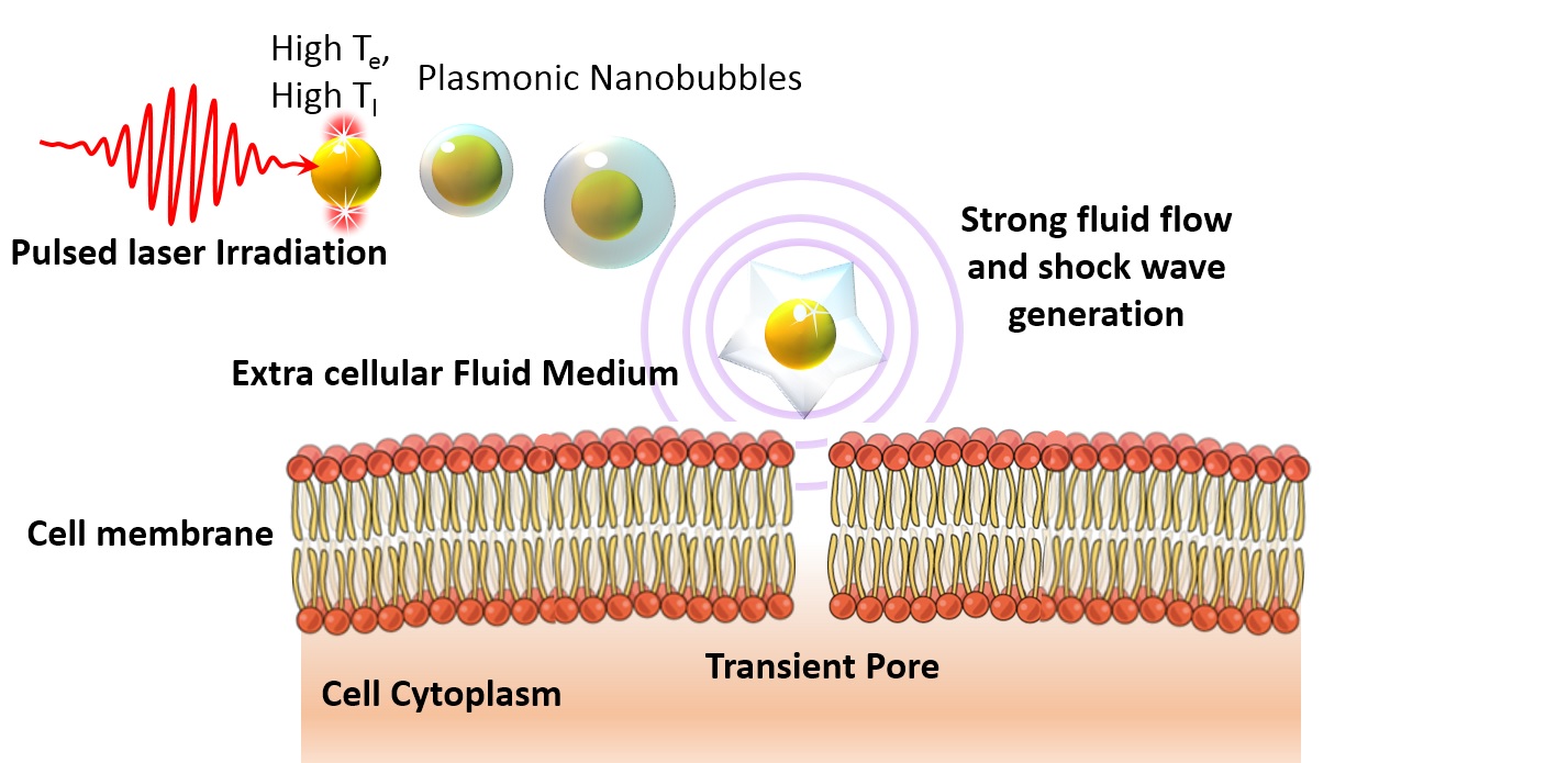 Optical Pump-Optical Probe Spectroscopy