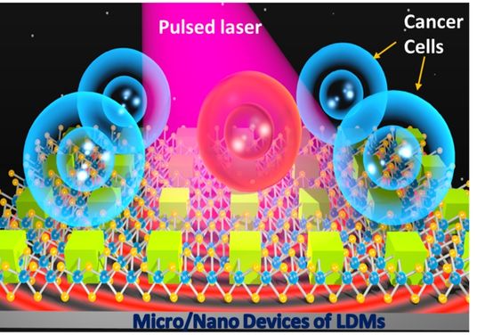 Micro/Nano Devices of LDMs