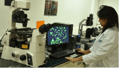 Electrochemical Analyser (CH Instruments)