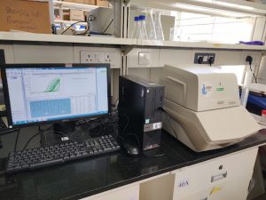 Real-Time PCR Systems