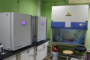 Animal Cell Culture Facility